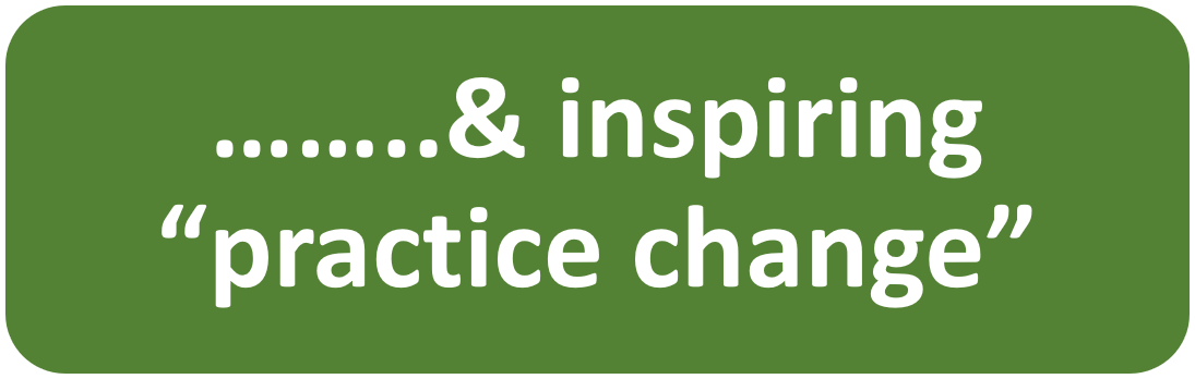 Inspire Practice Change Block